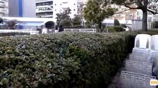 iata一区的范围是什么⭕❌❌⭕久久久久国产成人精品亚洲午夜,成人免费毛片一区二区三区,国产成人久久精品激情91,国产成人无码精品久久久免费